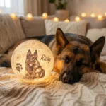 Bezdrotova 3D mesacny lampa