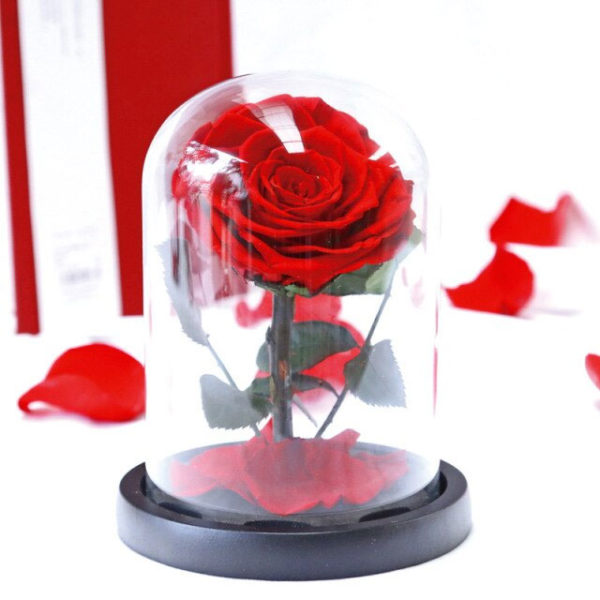 Stabilizovaná ruža v skle