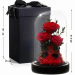 Červené stabilizované ruže v skle s čiernym darčekovým balením – rozmery 20,6 × 12 cm
