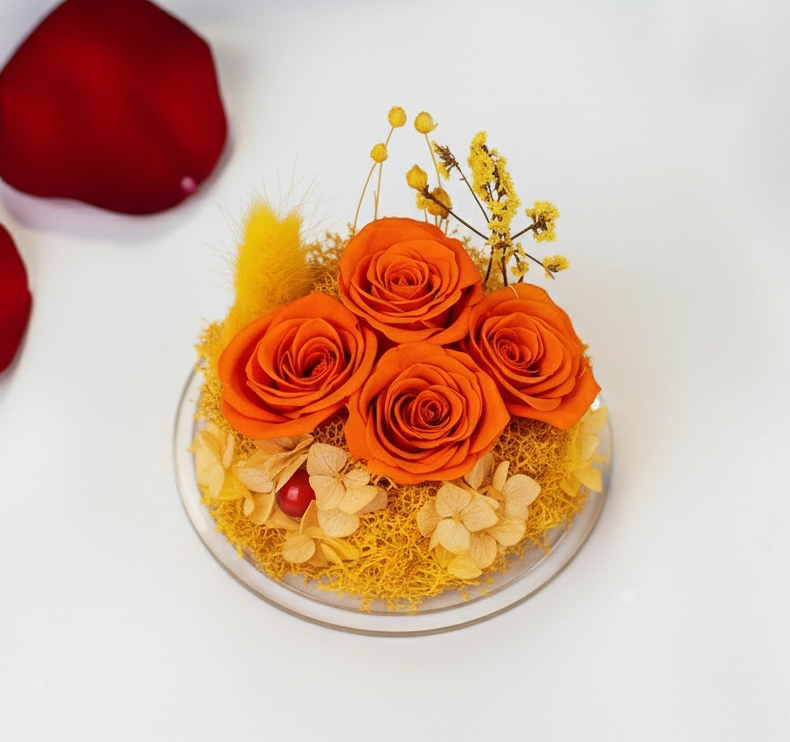 Štvoritá stabilizovaná oranžová ruža – „Anjel večného života”