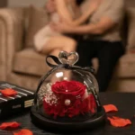 Premium vecna cervena ruza v sklenenej kupole