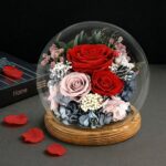 Červené večné ruže v sklenenej guli na drevenom podstavci