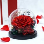 Červená stabilizovaná ruža v sklenenej guli na čiernom podstavci