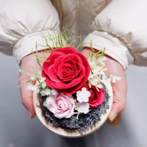 Večné ruže v sklenenej guli – červená