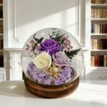 Vecne ruze v sklenenej guli spredu