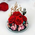 Detail štyroch stabilizovaných červených ruží so zlatými sušenými kvetmi vnútri skleného anjela