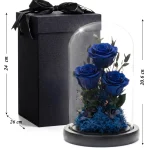 Tmavomodré stabilizované ruže v skle s čiernym darčekovým balením – rozmery 20,6 × 12 cm