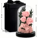Rozmery ružových ruží v skle Trojitá krása: kupola 20,6 cm × 12 cm, čierna darčeková krabica 24 × 26 cm